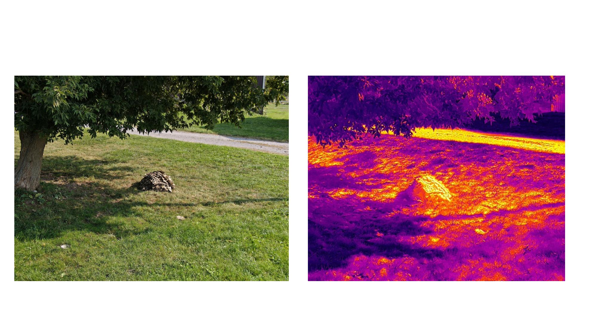 Aerial Thermal Test Open Terrain